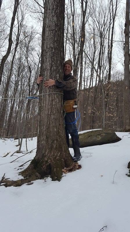 Papa Mayer hugging a maple tree in the sugarbush